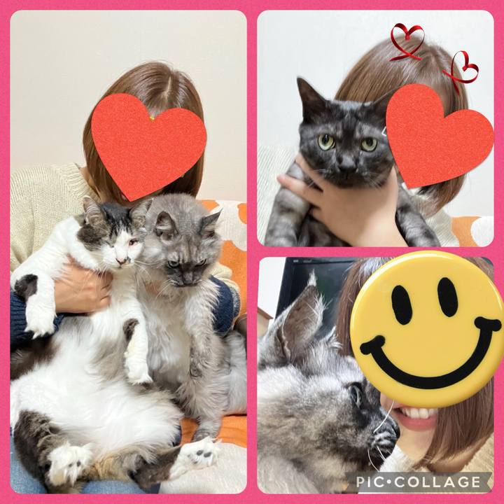 B351ba81 2388 4c2a 83ec 541139f3f669 1742264034922