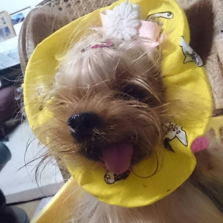 B351d851 fabf 4f5a 824d b5844faf5997 1525877368508