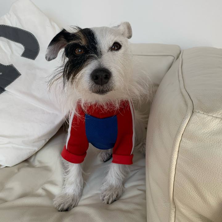 B351e38b d990 4e81 8122 4d88bdd21077 1668749763786