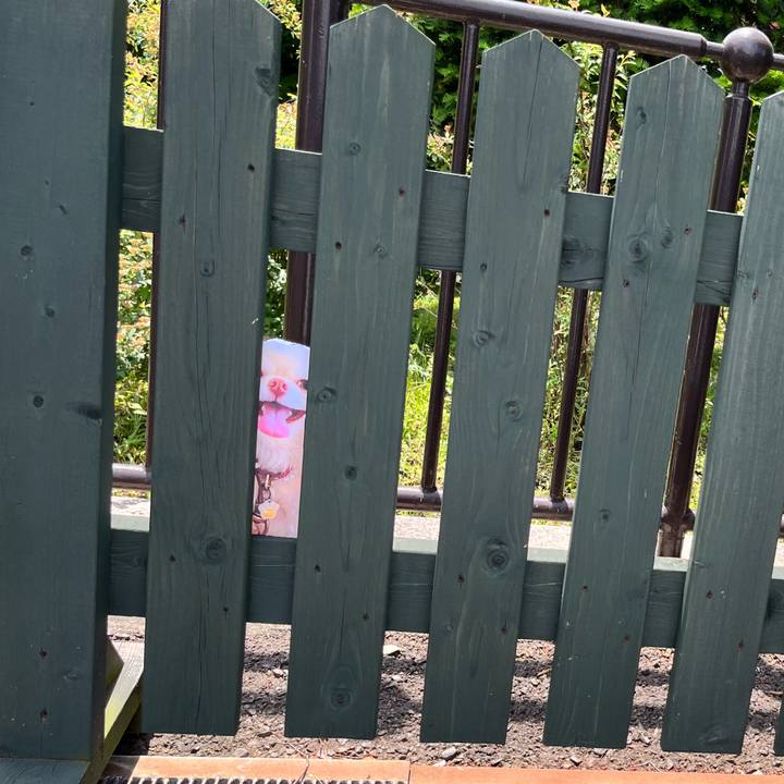 B35206be 59bb 4127 a103 2ff16fe38b96 1653465916819