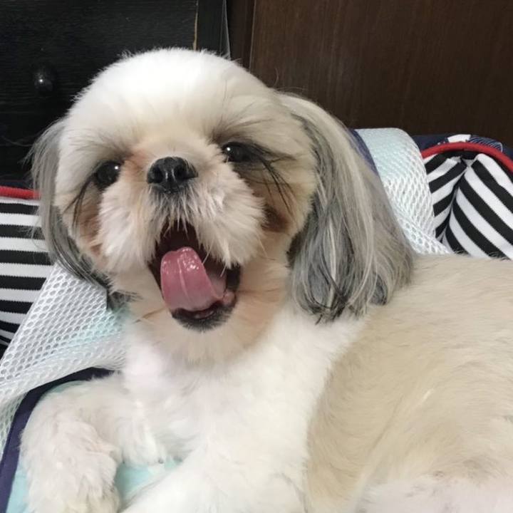 B3523281 1104 4122 be57 a85ba3aca1a1 1566735178736