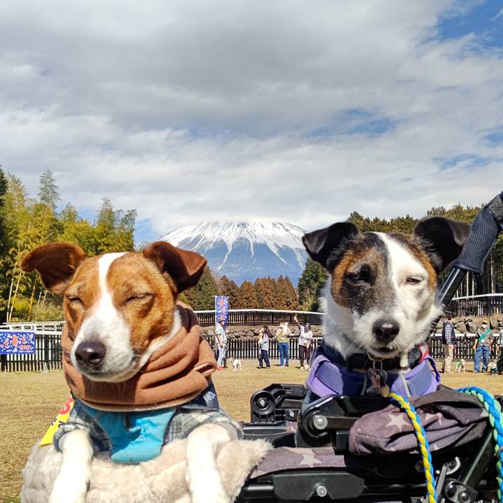 B3523db4 2359 45e7 96eb c2aa7cb0664f 1676693553653