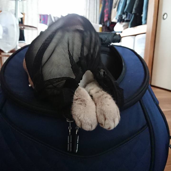 B3524e54 323f 4a73 b596 3f7b21809407 1599882542146