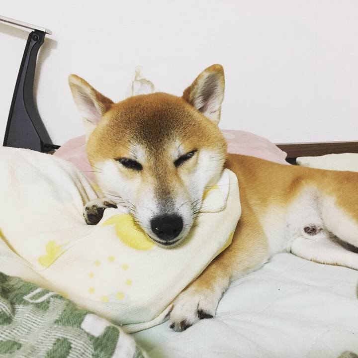 B3528020 5daf 45bc b2d1 1b5f5ffd2e28 1537191869888