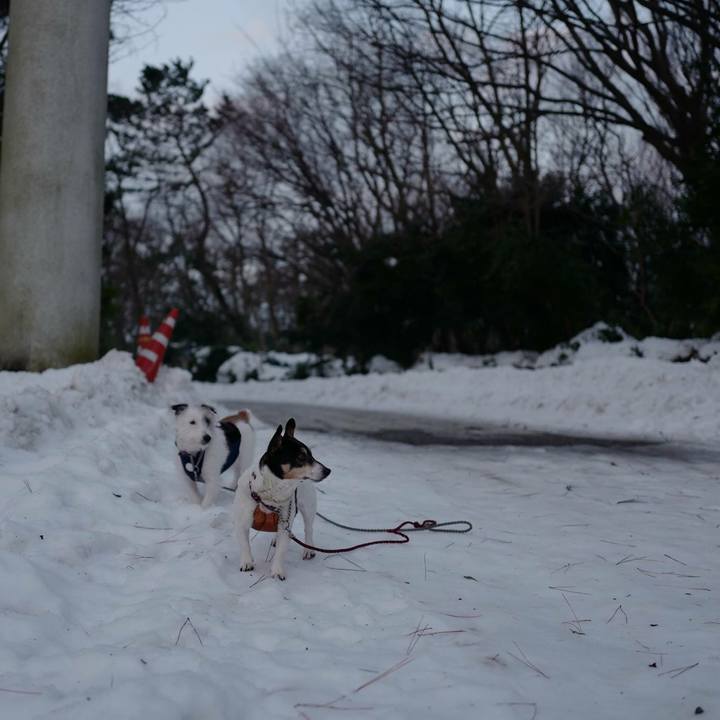 B3529b97 3f90 45f7 9c64 577622a58e45 1516078467749