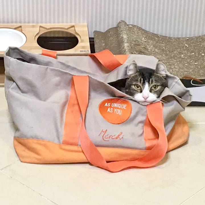 B352a047 ed5c 40e7 afe4 8ddeded295cc 1511878366971