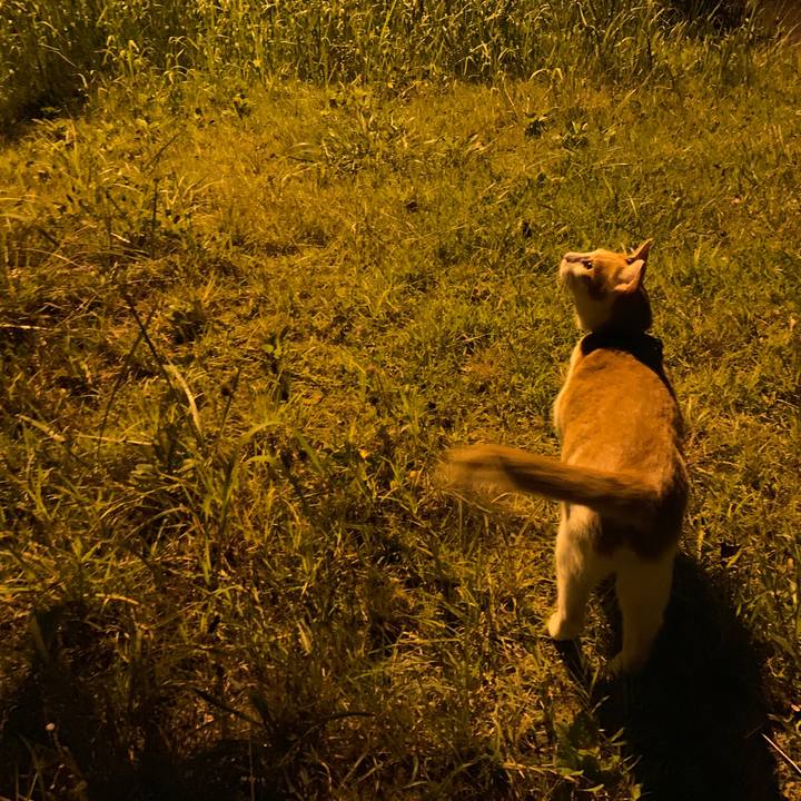 B352ff28 9a18 4b52 9f7f 56cb51f23334 1570011924961