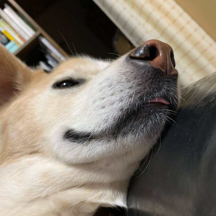 B3530423 bff5 4051 9536 1433f8fb1b97 1644067549480