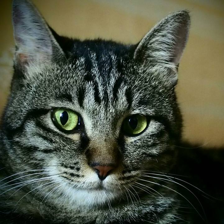 B3531481 09c9 46e5 bb54 b1e87f1bdef0 1533700286644