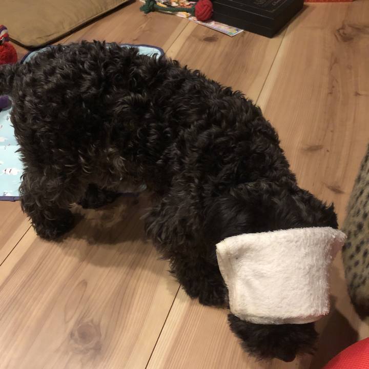 B3532dff 6731 44f0 8ecb 3b2560d5fa50 1563020986697