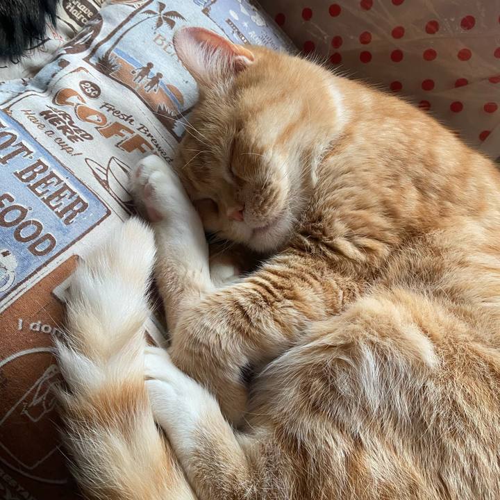 B3535810 1cb4 4d57 8111 20ea4b15ddbf 1651179970764