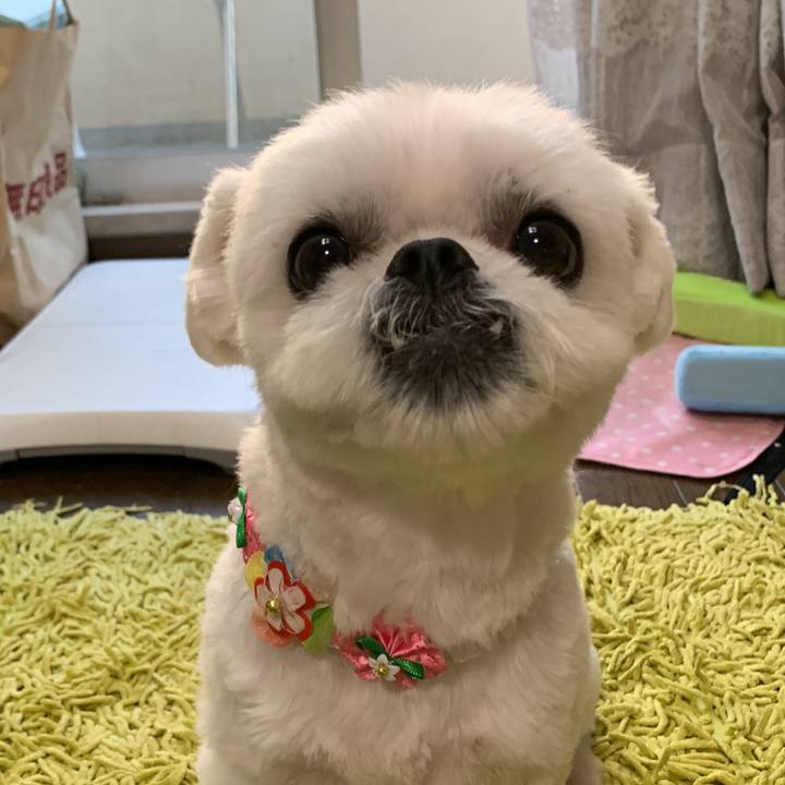 B3538c43 7e43 4629 8240 e48627005315 1654425697355