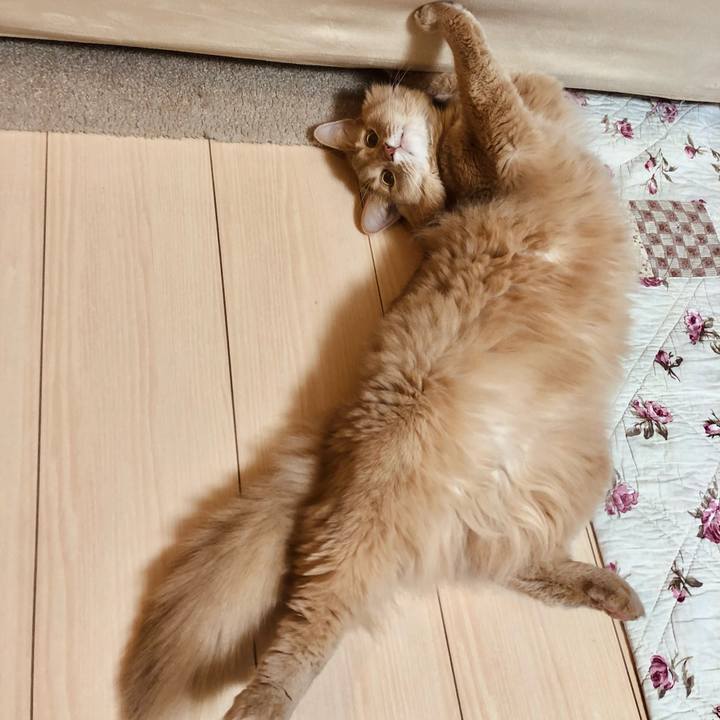 B353aaa8 0041 4720 ab5e 77bd4102535f 1612708628330