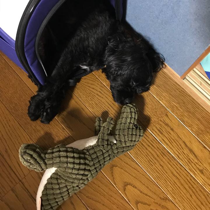 B354418c a952 492b af6c a1f5a52d433c 1533275509160