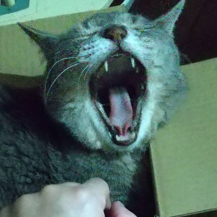 B3544256 9289 4aba 9832 0e4ccbbe8048 1687186562754