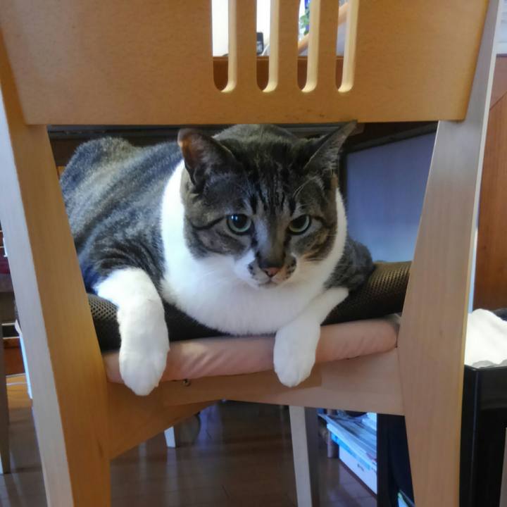 B354840f 8400 4b4b b3a2 82e3665f6aa2 1516745796817