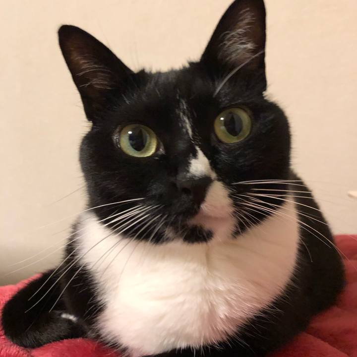 B35498c3 efd6 49a0 8a14 78ae210873a4 1542752181486