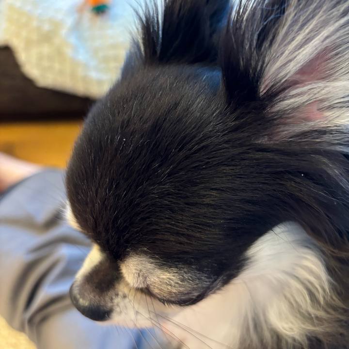 B354e782 81ef 4845 adfa 58523c9c6ed1 1723911577766