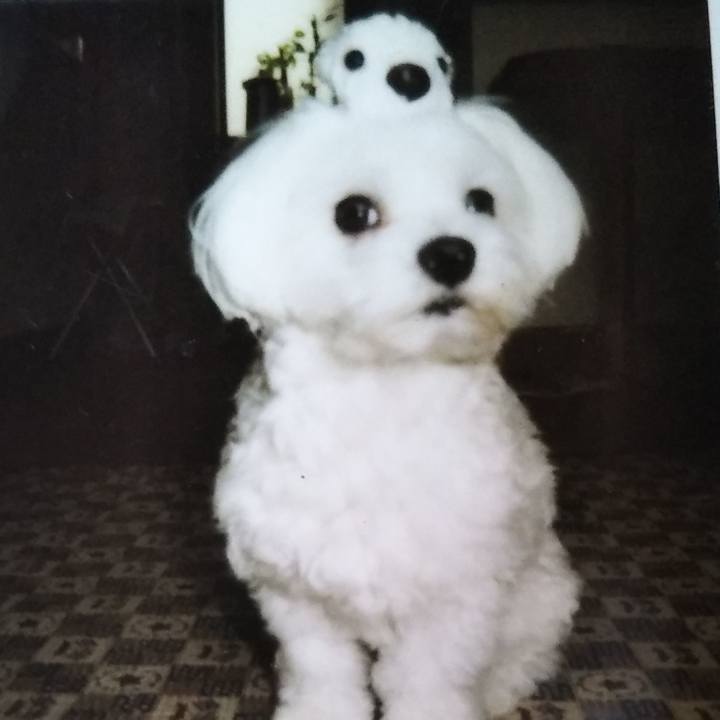 B354eccb d993 45ed ab98 7a0f175df0ae 1571116800346