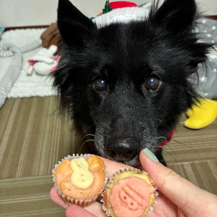 B354fdbc 1f86 4821 8d5c f94f30472571 1766589285025