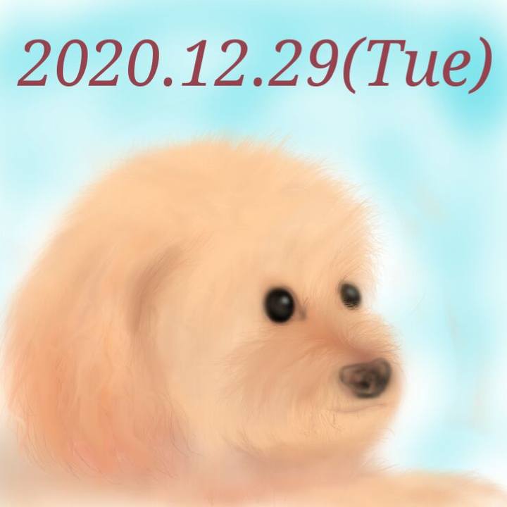 B3553dc6 b270 4729 9cb3 34a7ae7eefea 1609223464827