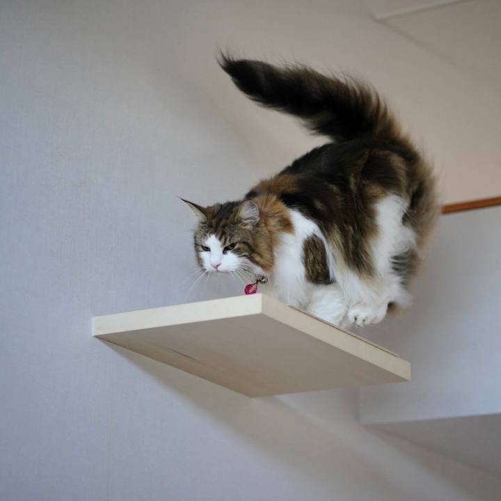 B3554295 c3c3 475f 978f f58c7f3f2685 1699406126336