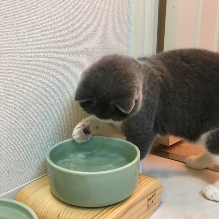 B355c65f 88af 4f91 98b6 7523ebe229dd 1512039459723