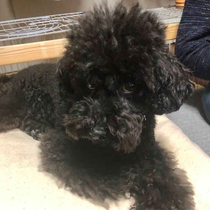 B355d8c8 0281 40cb bc51 acf926286b25 1573374891473