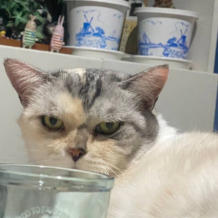 B35630aa cb8c 4899 9aaf 63109ea1b470 1723301398491