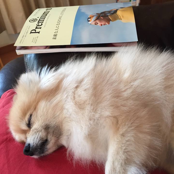 B3564e9c e282 47c3 9c5f 5e8f5a0c300d 1538552532815