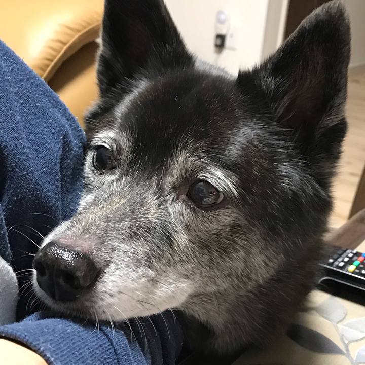 B3565ac2 4eec 4646 806f 76a434fb9c35 1614748422201