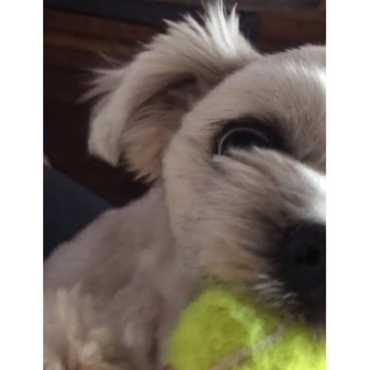 B356bb3a eb39 4b7c 8591 284a26686f15 1517106391668