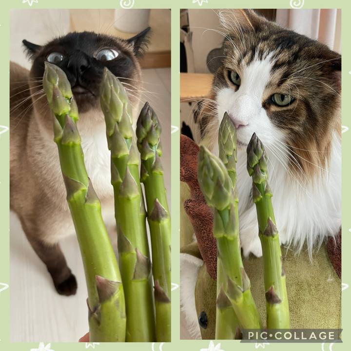 B356bd70 ce22 44ac 8847 a9d9d17e2d83 1745706338559