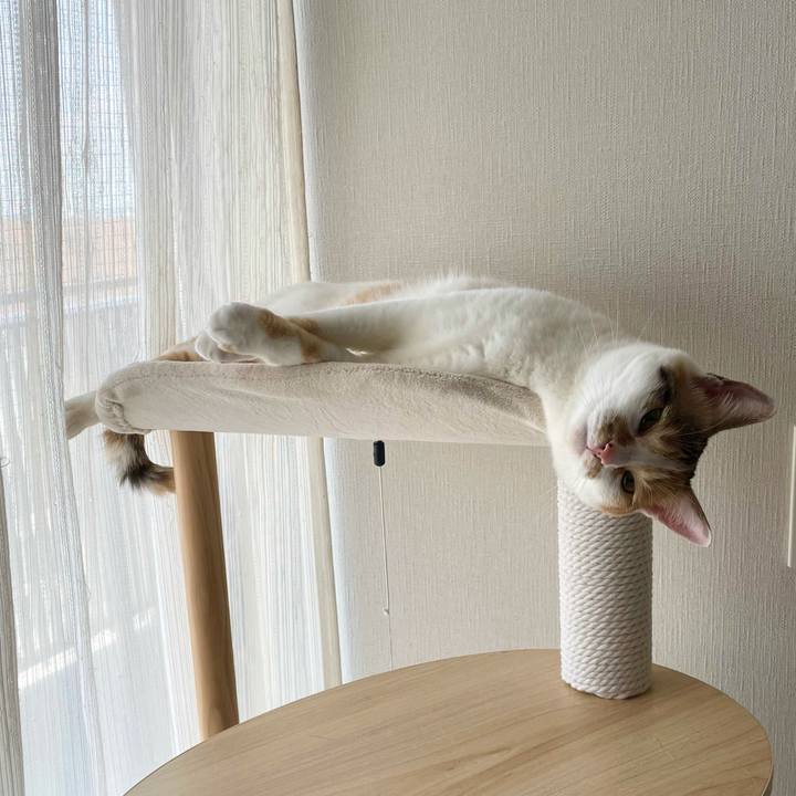 B356ce39 ebdf 49eb 8fc7 bfd99dee6541 1624333264789