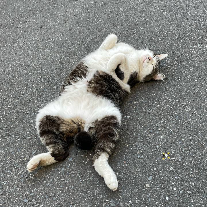 B356de16 86cd 42bd adf8 c4dd31160f6e 1620537406946