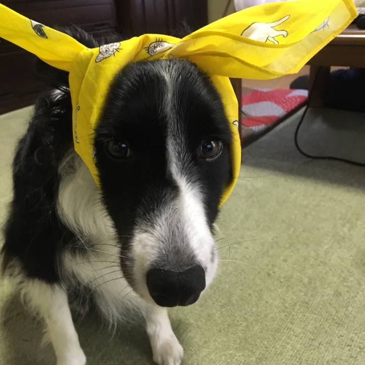 B356e35c 6148 4bf3 8e24 87d7eae8fc5d 1528171372015