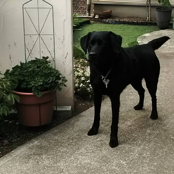 B3570937 da6c 4a25 95d3 97a3a4618a8e 1691808257049