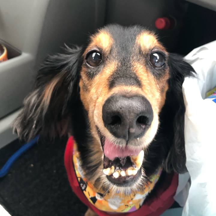 B3571cdd 3a81 40d0 bbf2 5fa523a6ffbe 1572914072070