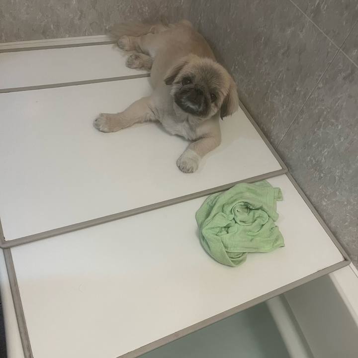 B3572830 8acf 4ee6 b141 2d05c37c3893 1721686649908