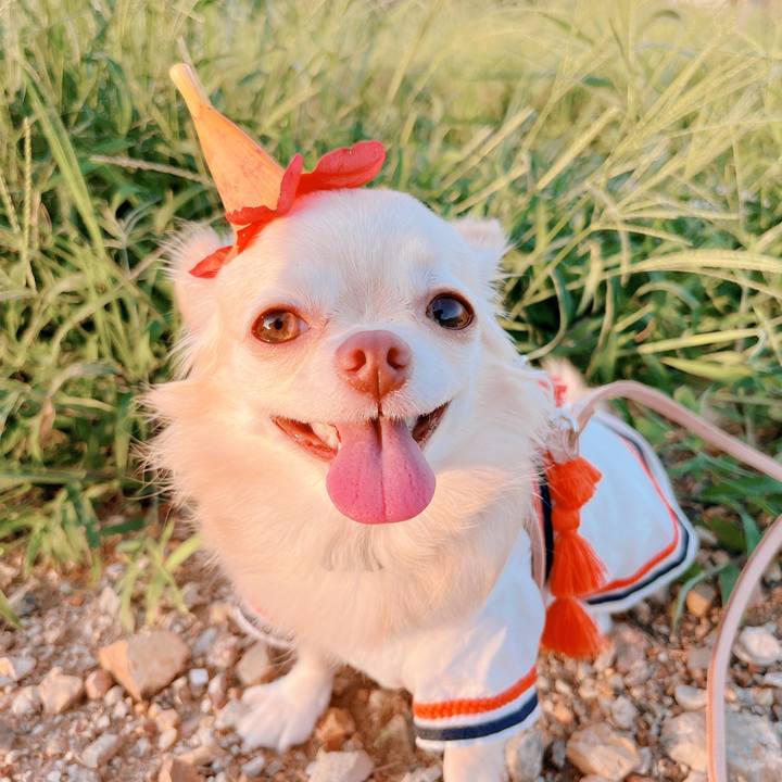 B35747e4 d160 439f 9b52 ca727b8d93bf 1662975439396