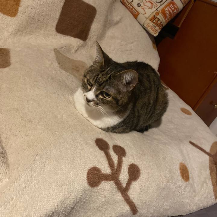 B3576d04 a73f 4b35 9baa f56a9d67bc57 1683460685507