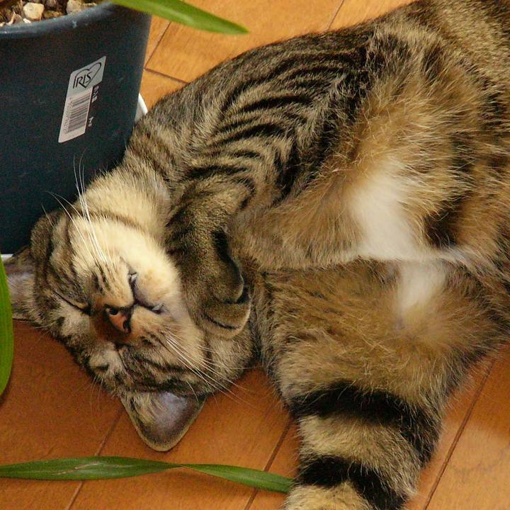 B357a518 16a4 40cd 8c78 9a02a82adb0a 1635296956693