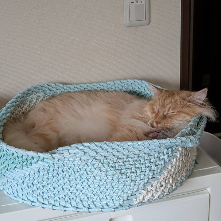 B357b7a2 4dc9 48d0 aeaa 0e16267d3875 1747877948022