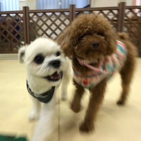 B357c924 c3b0 4187 8a53 93a4a3e2e5ca 1510748813685