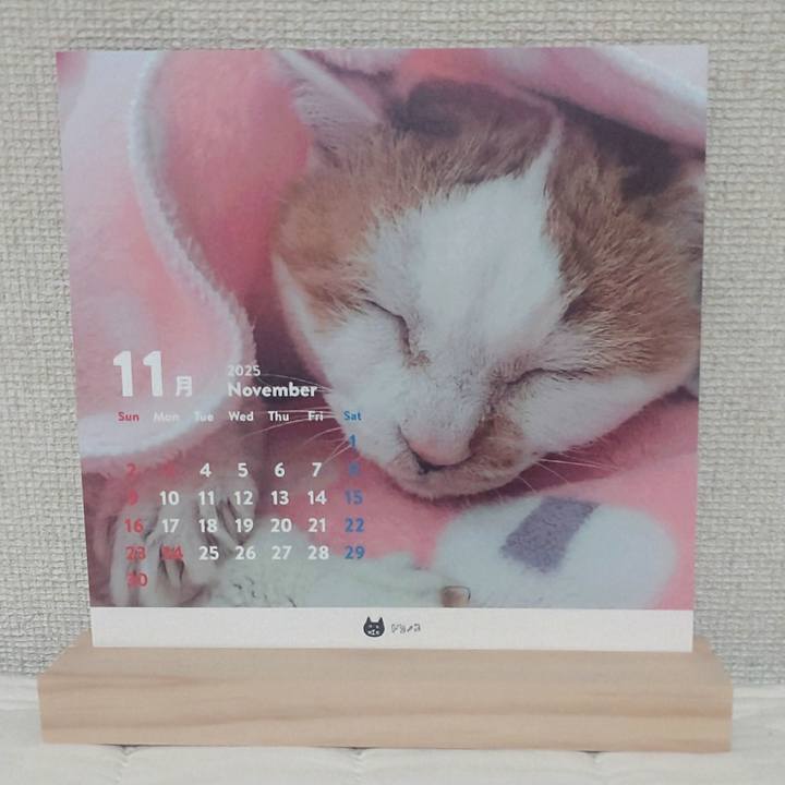 B357ced8 2a07 4616 94ef a91b5c2d8425 1761985001477