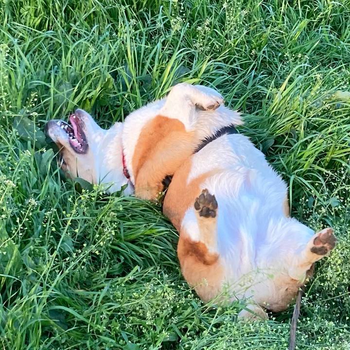 B357d5d7 66f1 423b 8ab9 a087fd56bac4 1680047053710