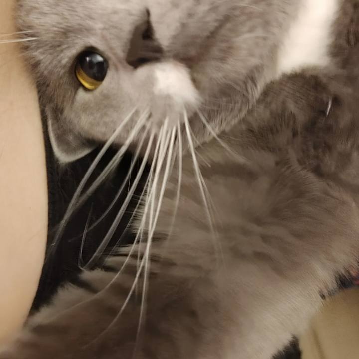 B3580c19 cf8e 48a6 818c 9b14ad7752e5 1612073992370