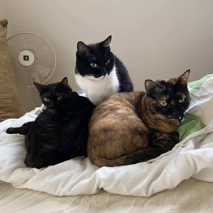 B3583251 4b8f 4939 874a e5b212065176 1602289332138