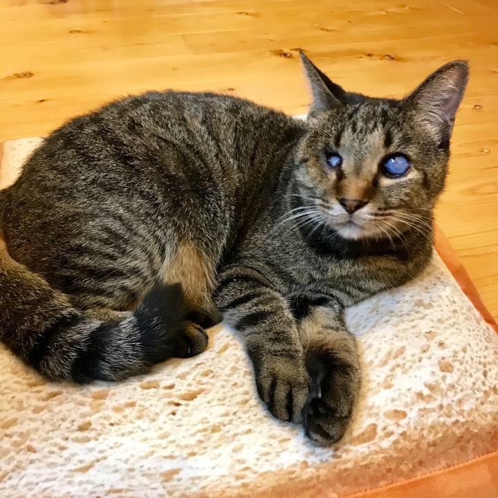 B3585944 0bc5 43dd aa7f 54f0cf82878d 1567637481830