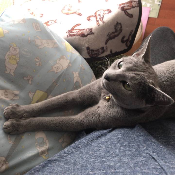 B3587534 50d2 4a5a a7fa e11f9deb192c 1525732251554